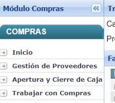 Ingresar Saldo Inicial de Proveedores